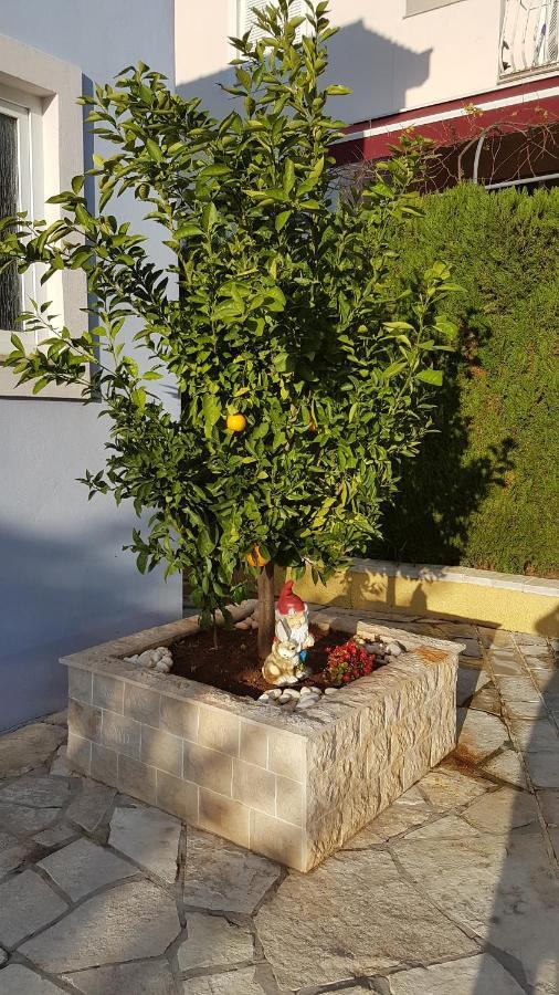 Cosy Villa Near The Beach Zadar Exterior foto